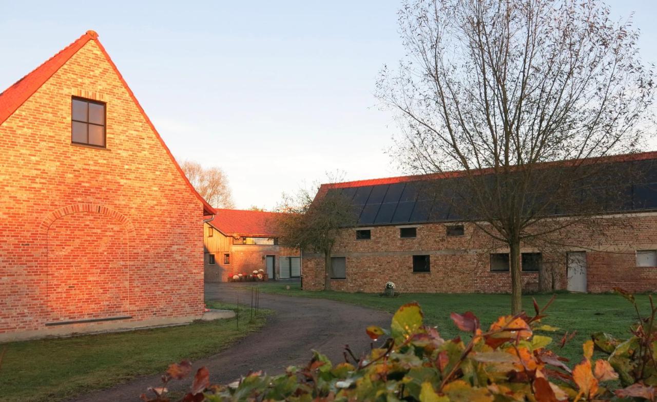 Hoeve Chartreuse Bruges Extérieur photo